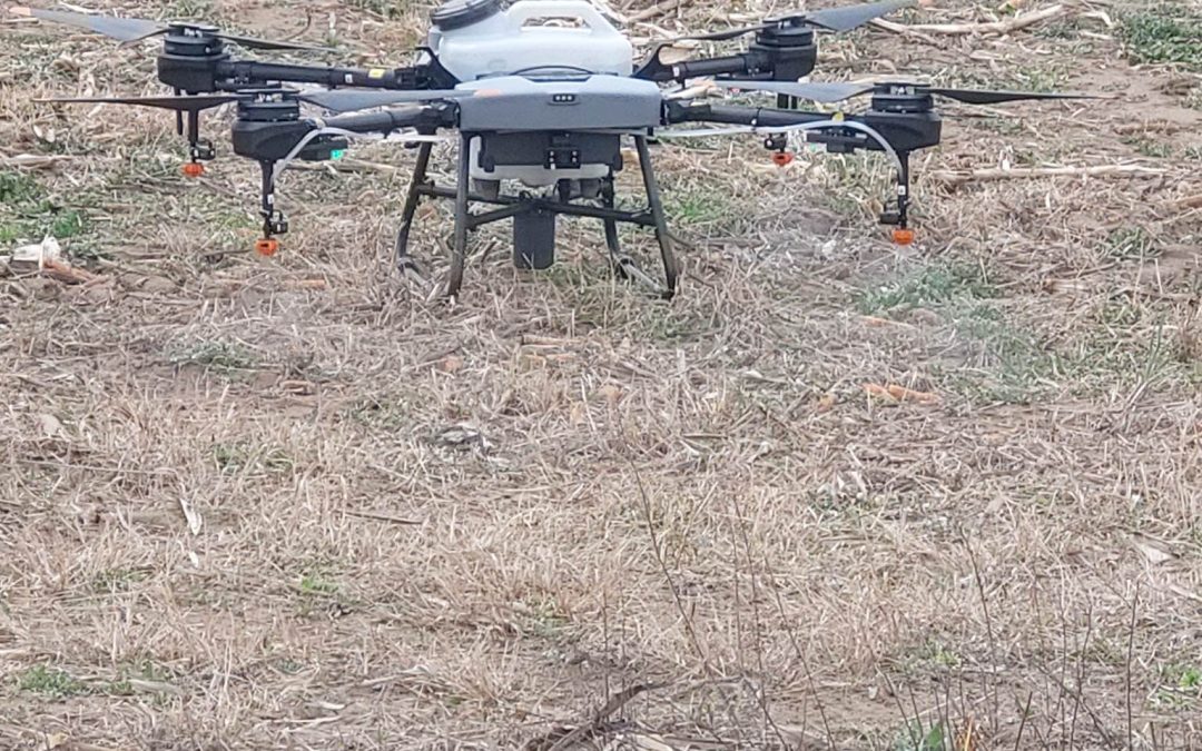 Drón permetezés és a méhek?